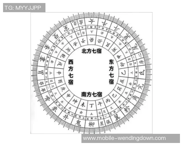 问鼎28-问鼎28，未来的可能性与挑战-问鼎28